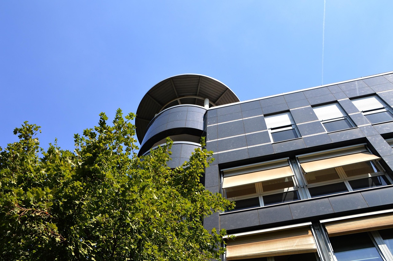 最新文献网站,探索学术前沿的门户