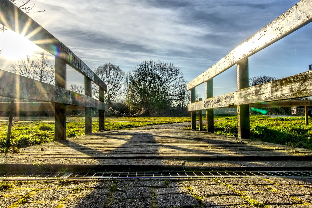 赵汝珍最新动态,明星之光的璀璨闪耀