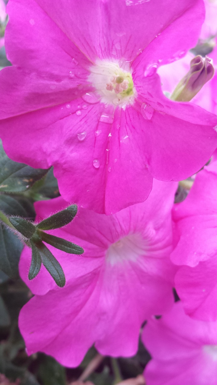 来宾市兴宾区最新疫情动态与防控措施更新报告