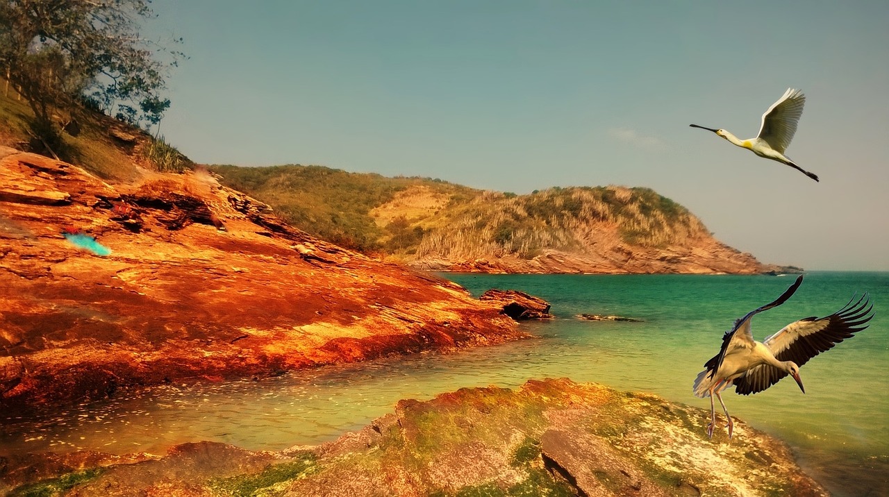 薄雾最新章节探秘,迷雾中的未知世界