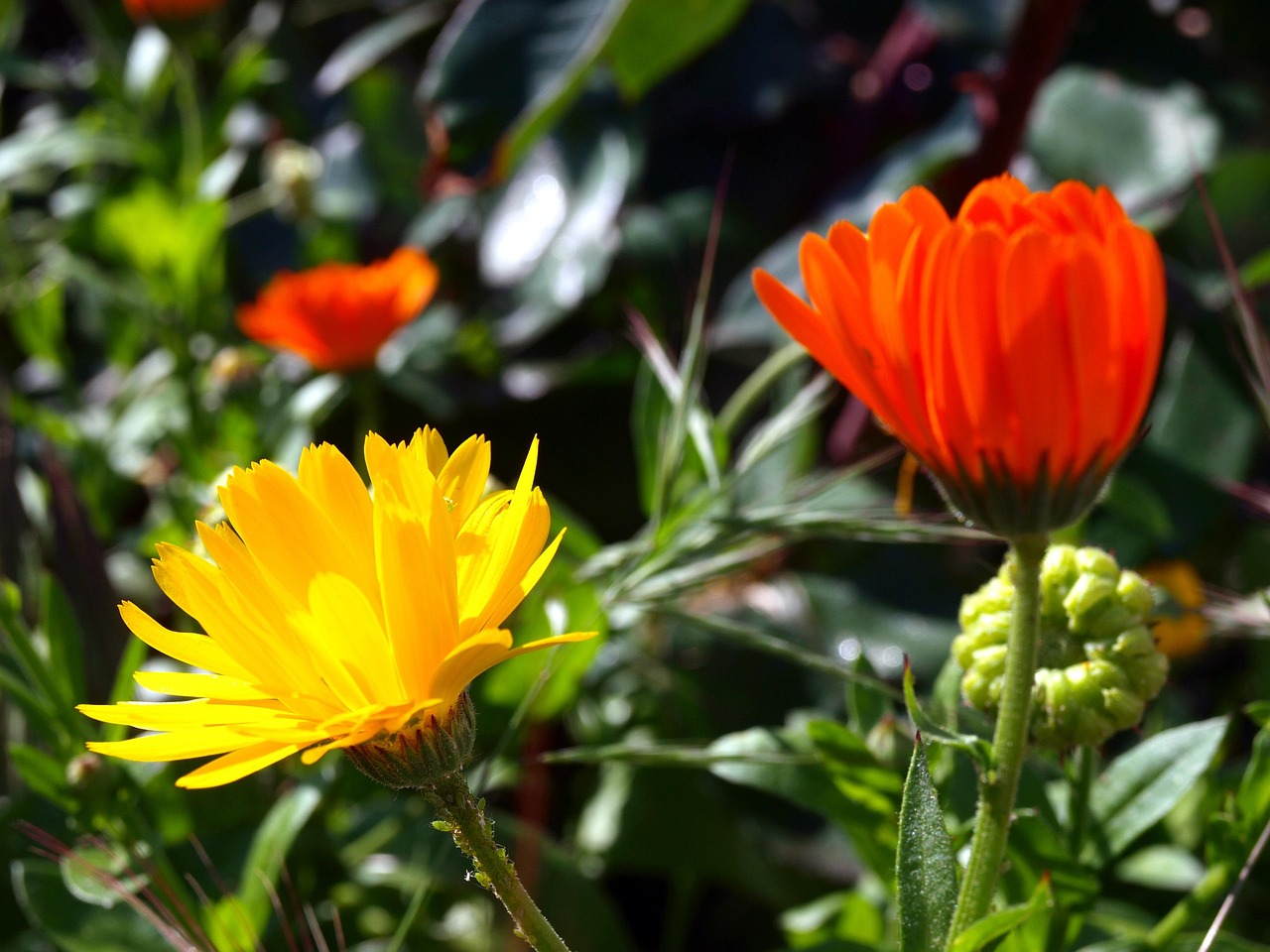 韩园疫情最新动态,全面应对与积极防控