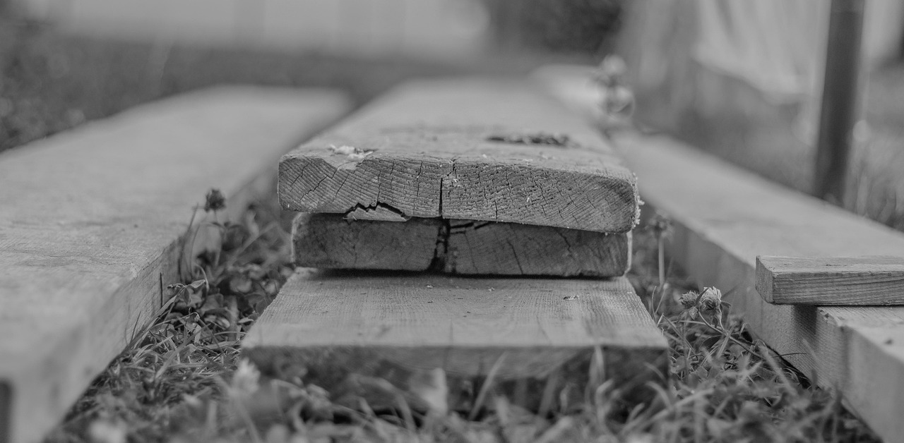 粤商通最新动态,引领数字商务新时代革新