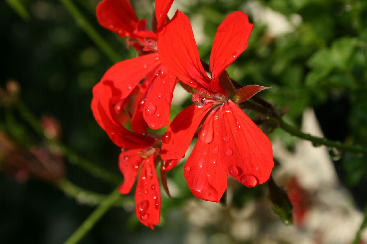 尤果圈最新动态,时尚潮流引领者的新纪元