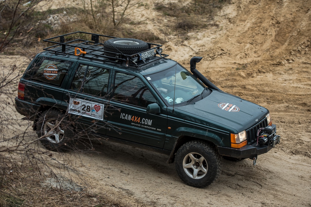 辽宁女排最新比赛动态更新