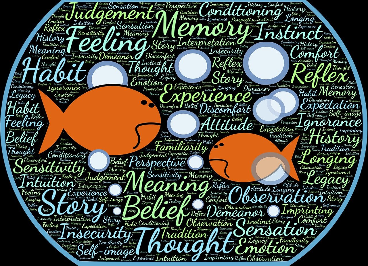 全球视角下的最新事件观察与反思