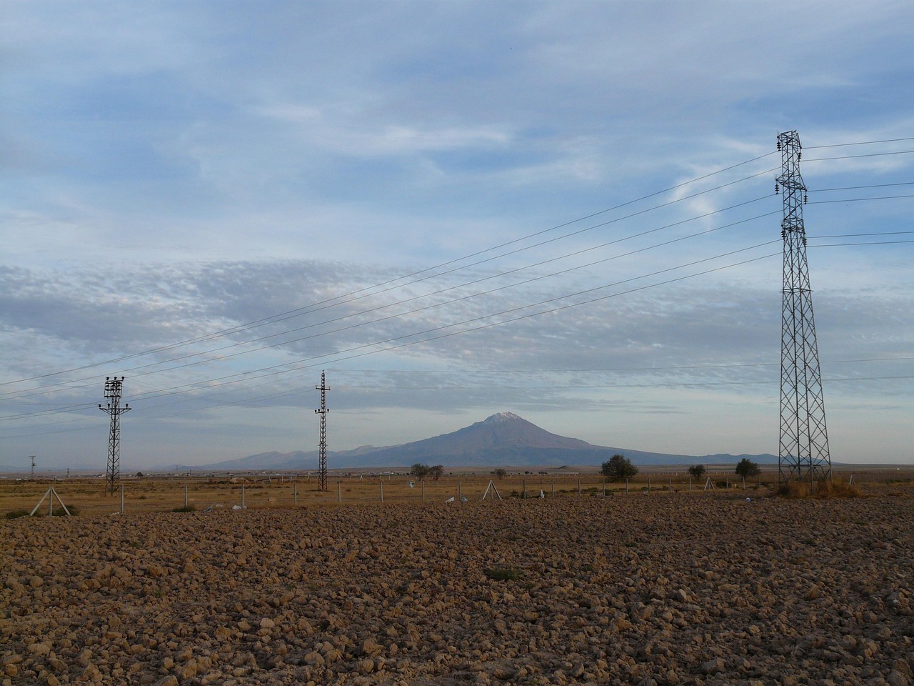 刘泽宇的最新动态与成就概览