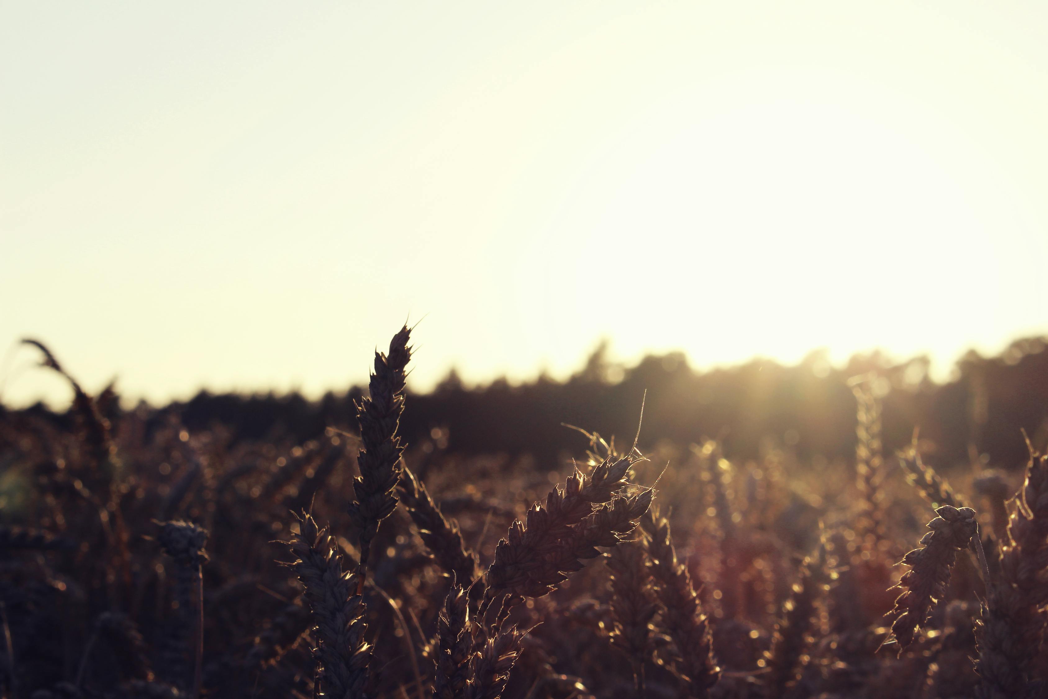 最新霸道句子集结,震撼人心的霸气语句