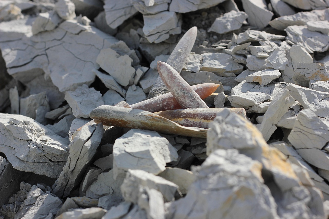 新时代收藏热潮下的高能手办最新动态探索