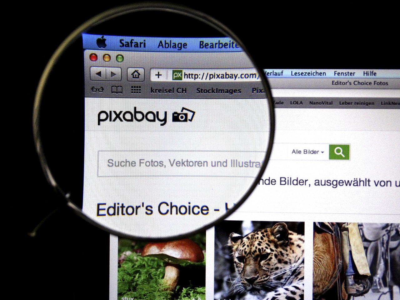 覃塘最新时事热点新闻聚焦,本土声音传递