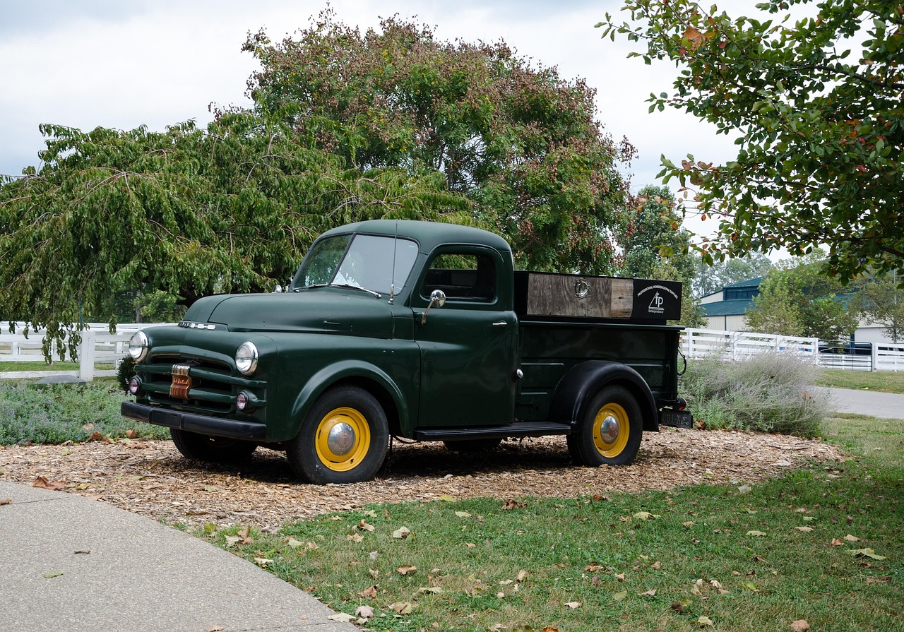 武安最新急招动态及相关分析概述