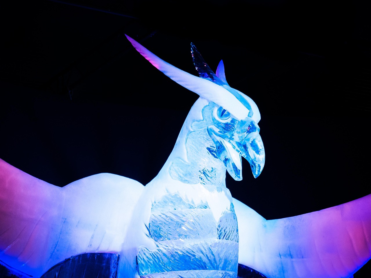 姬剑晶最新动态,展现新时代风采,不断突破自我