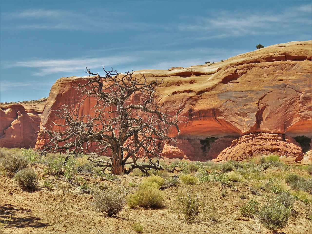 红刺北最新探索与发现之旅
