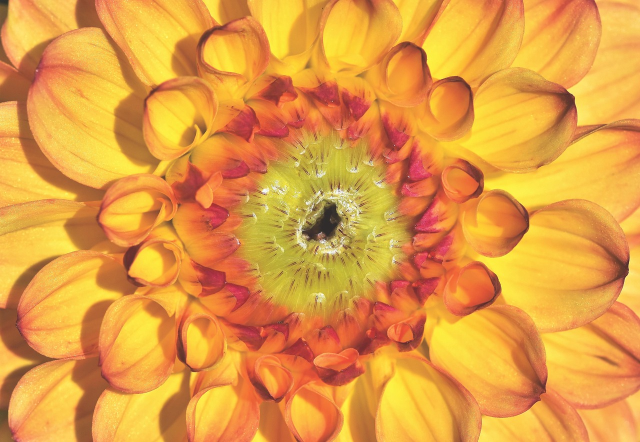 爱升本最新动态，教育提升的力量与未来展望展望