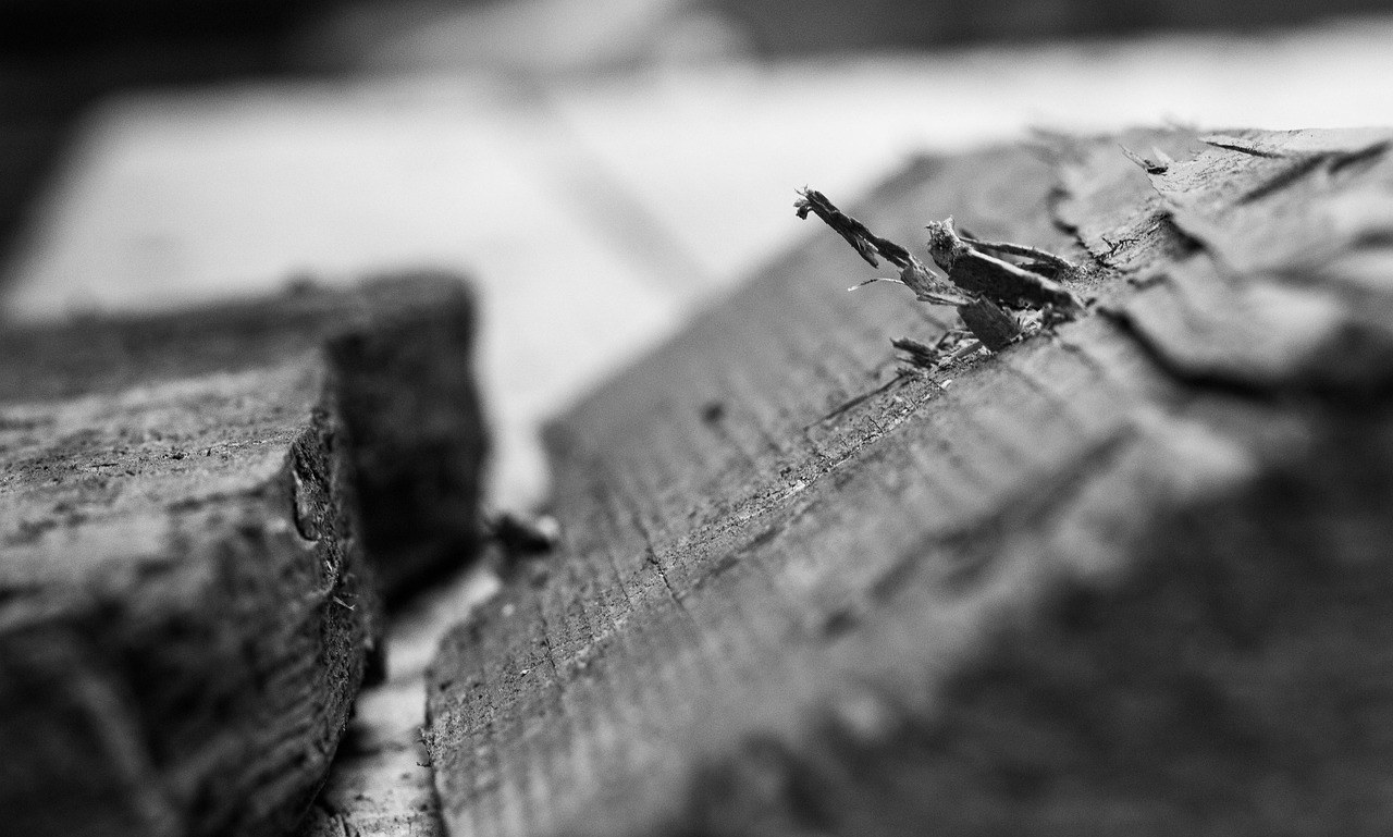 最新08J技术革新及其深远影响