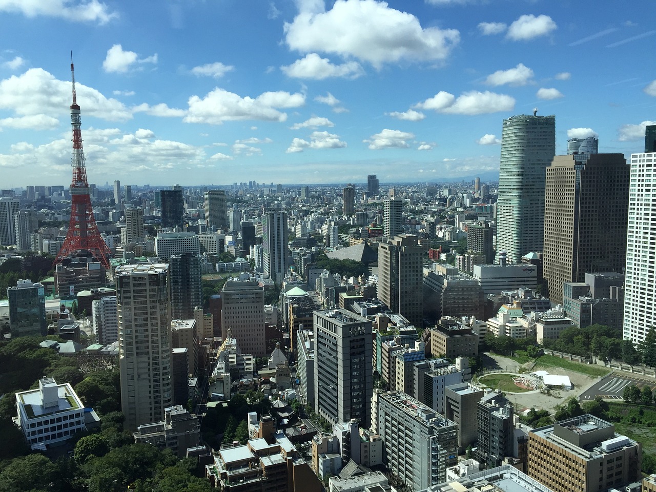 沧海 第9页