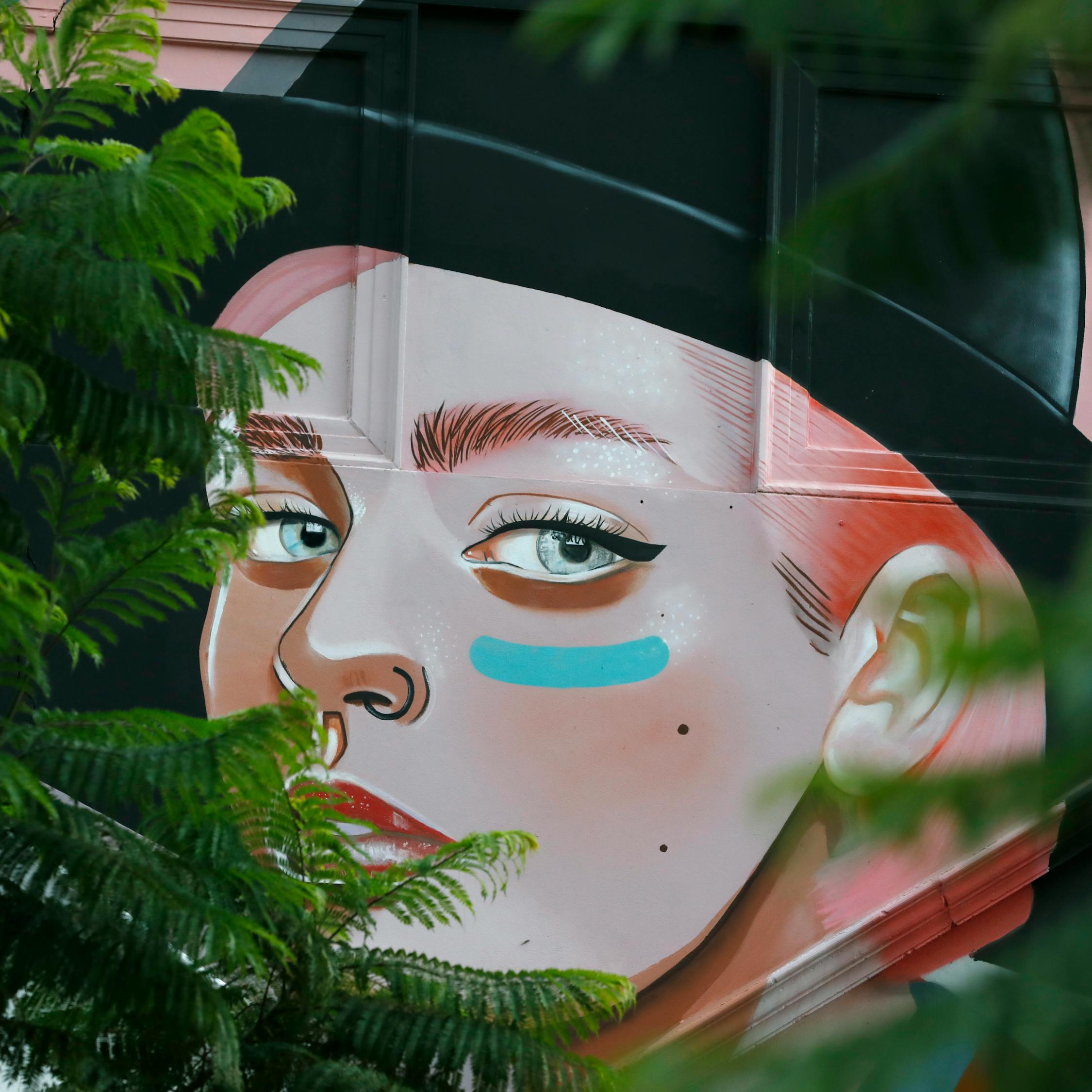 傻脸最新恋情,爱情的力量与公众目光下的甜蜜发展之路