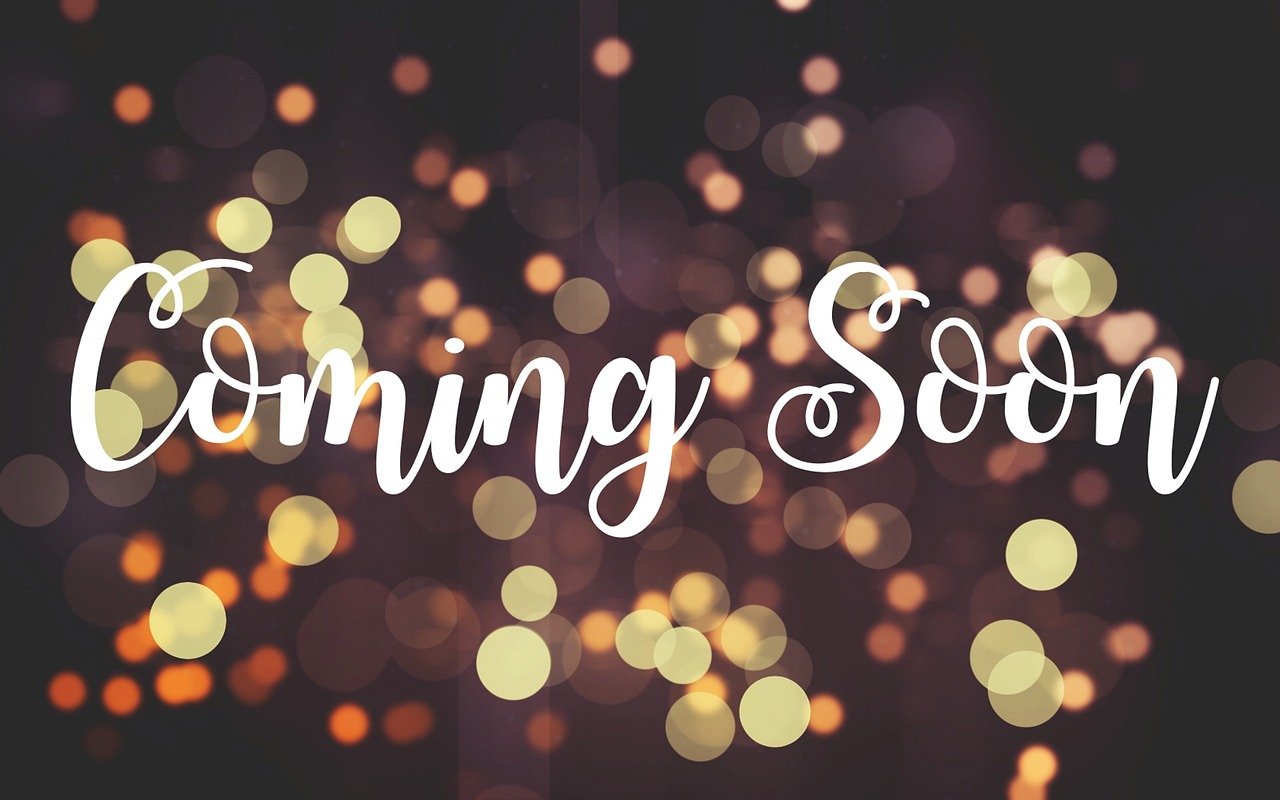 鱼子西最新公告揭秘,未来探索与展望