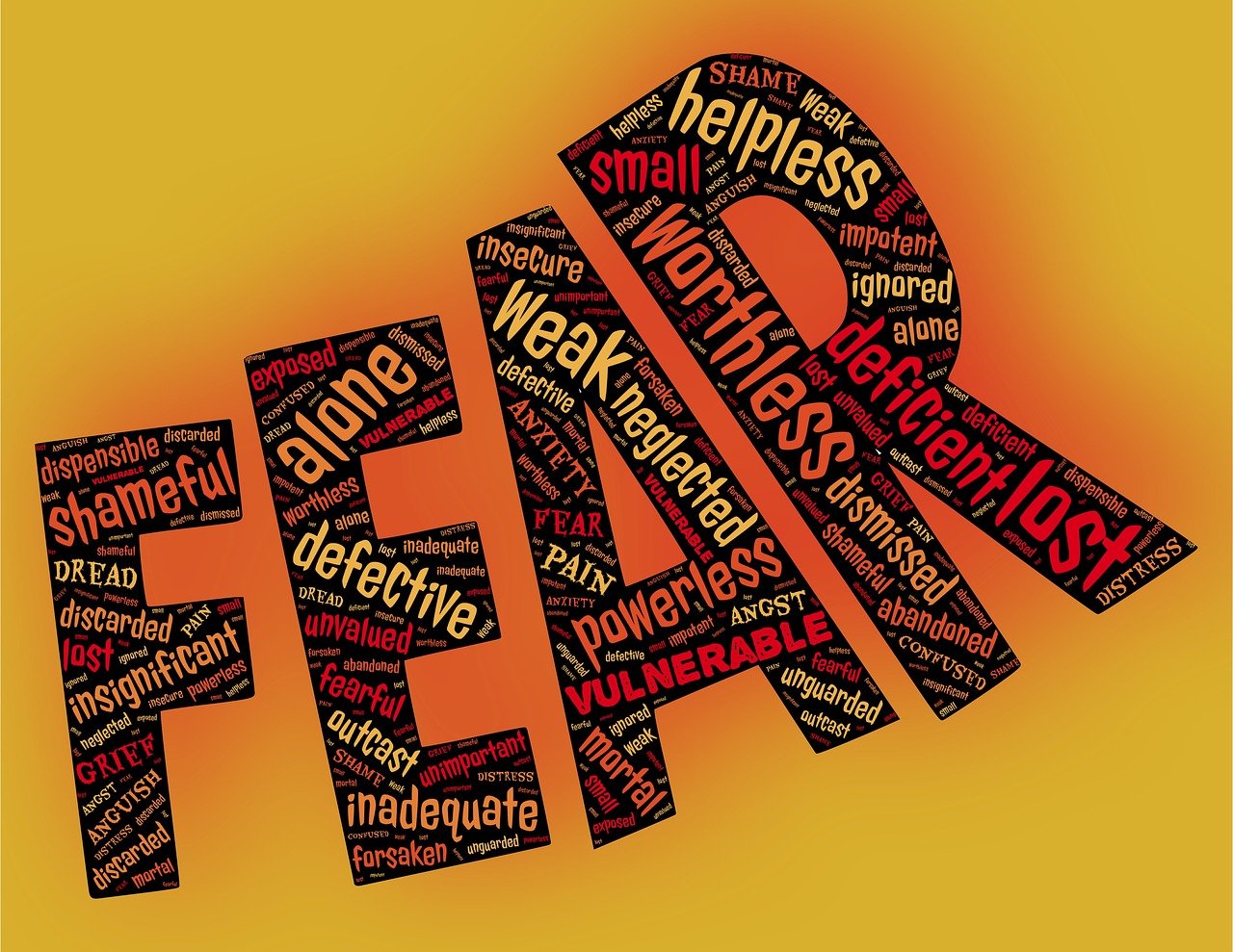 最新月饼品质曝光,创新、品质与消费者关注点解析