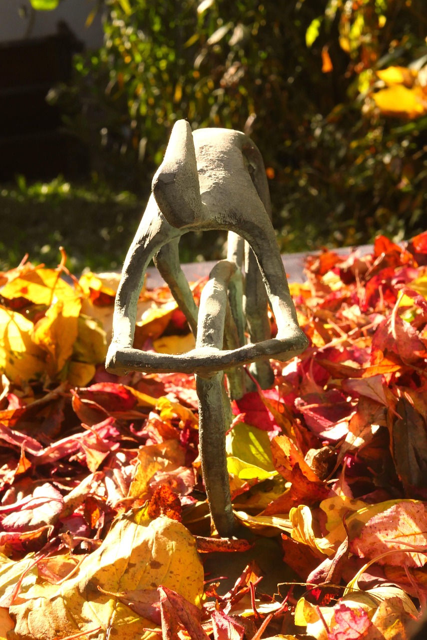 江苏全国疫情最新动态及应对策略揭秘