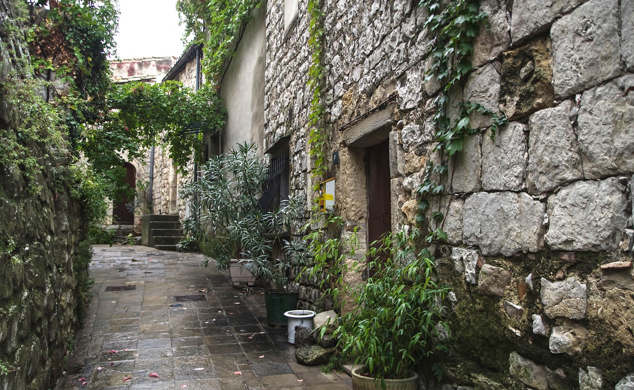 最新河南村长,时代先锋引领乡村发展之路