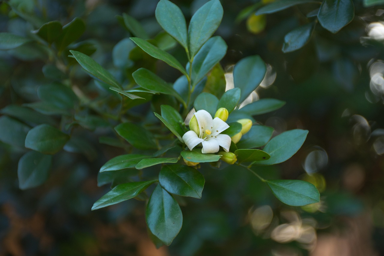 复产复工最新动态,经济稳步复苏的关键举措揭秘!
