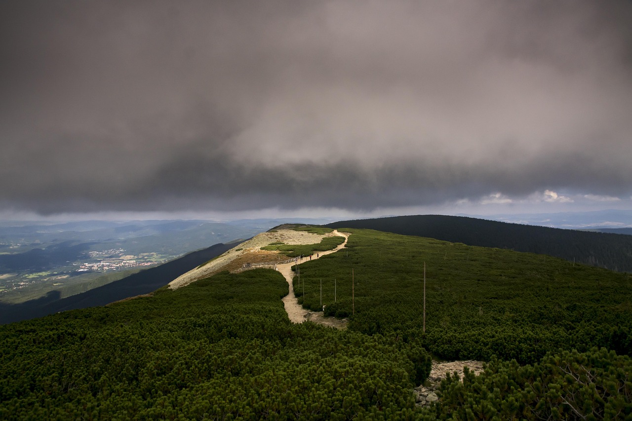最新台风路径预报及分析,风暴动态与影响一览