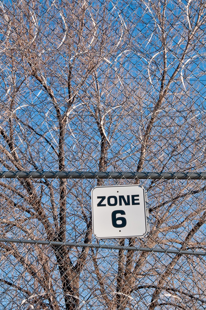 任改网最新动态,引领变革,塑造未来之路