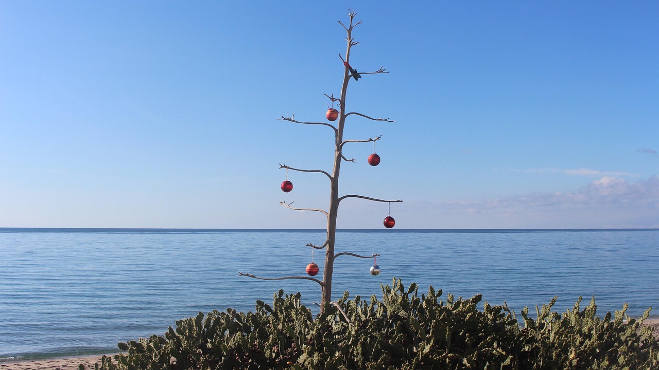 葛仙楼最新动态,传承与创新融合之旅