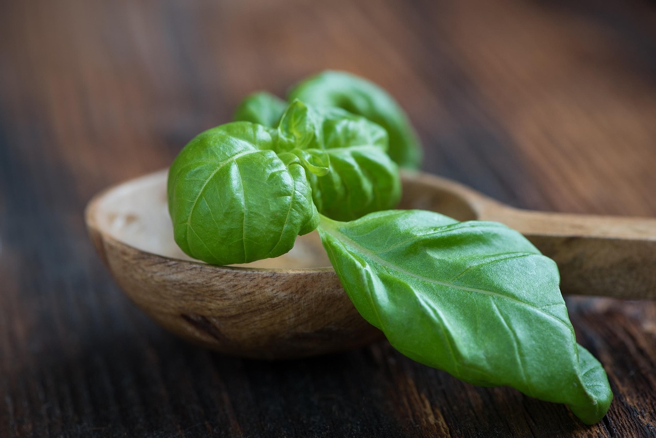 新鲜鳖,美味与健康共存的水中珍品