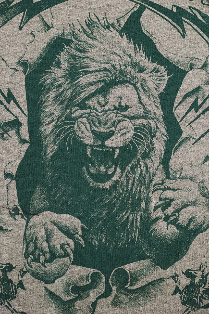 最新斗图头像,展现个性风采的新选择