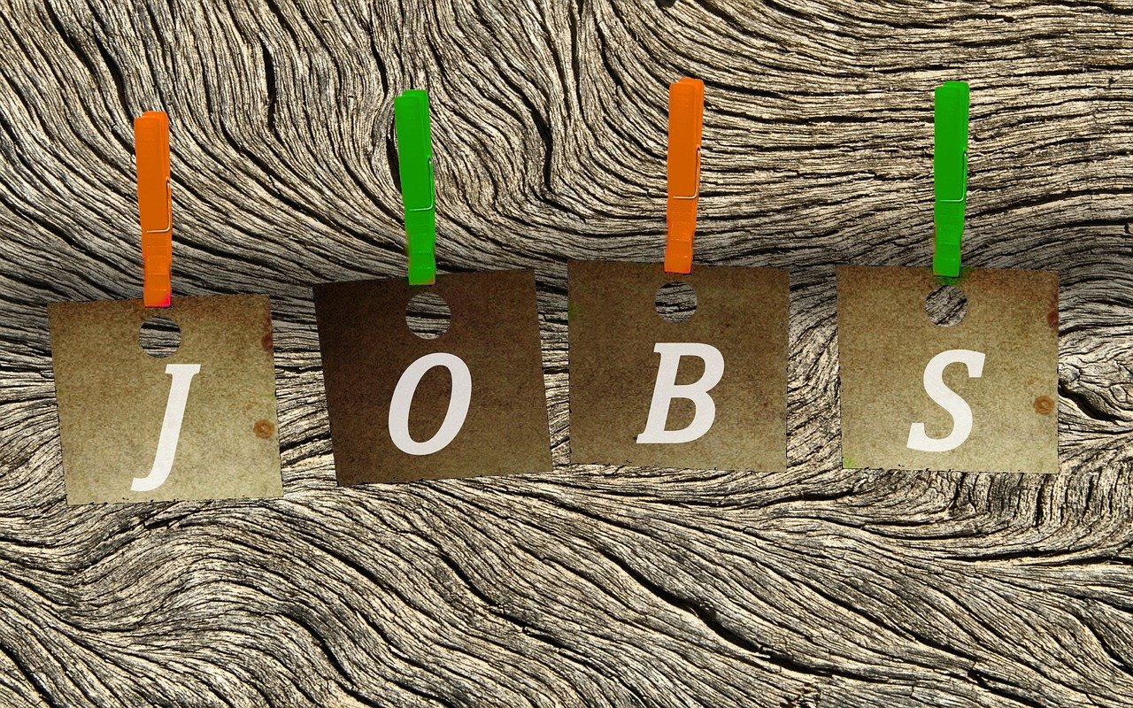 马鞍最新招聘动态与人才发展趋势分析,招聘信息与行业人才展望