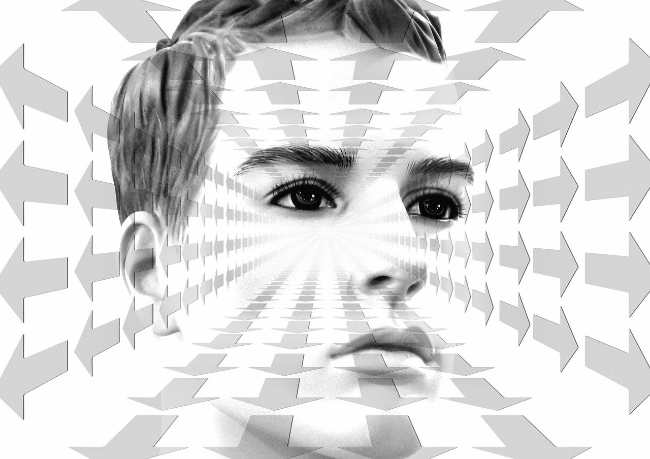 羔羊肉最新价格动态,市场趋势、影响因素与未来展望