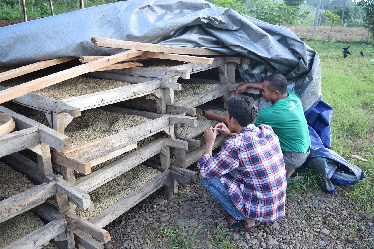 任县最新招标动态及市场分析概览