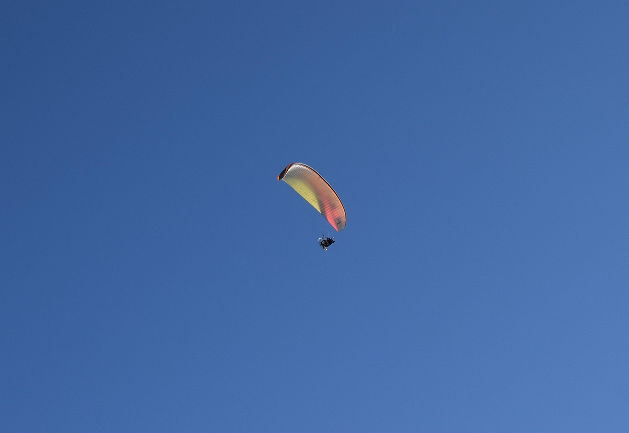 樊城区最新发展动态概览