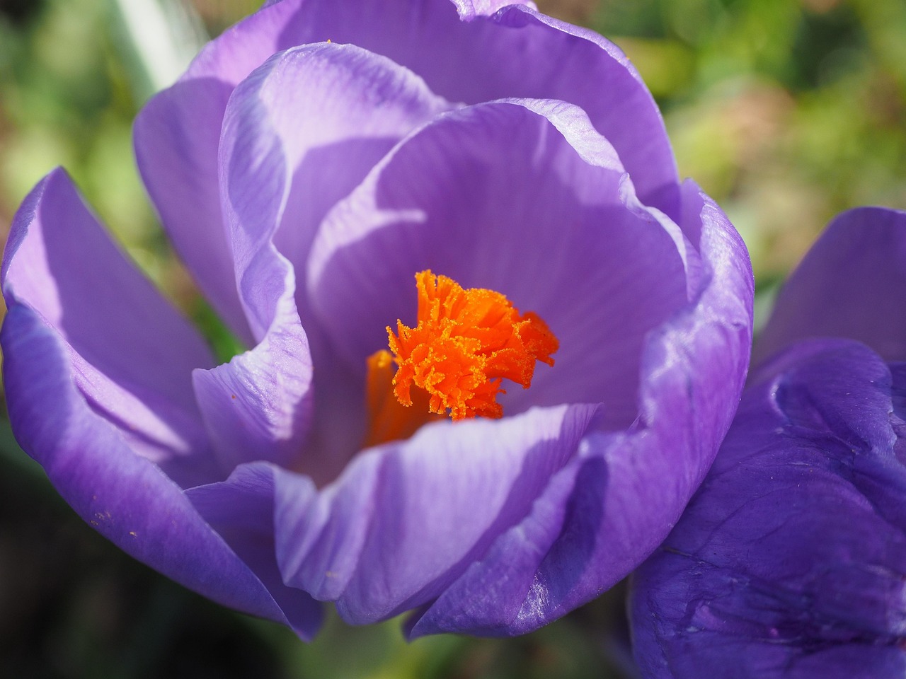 乐清白石最新发展动态概览