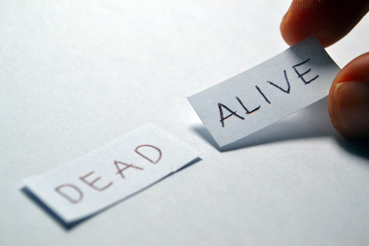 笑,最新治愈力量与表达方式