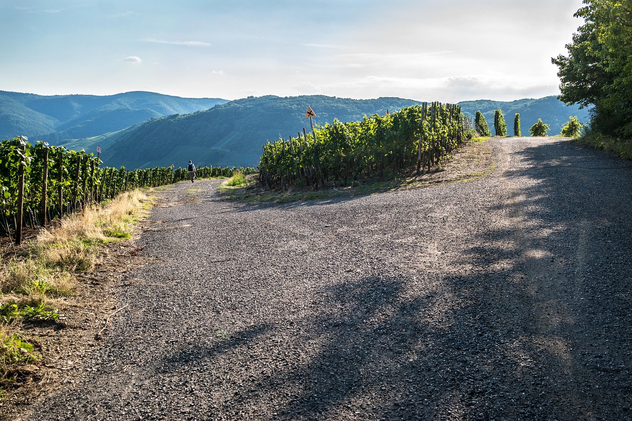 研招网最新动态解析,最新变化与趋势展望