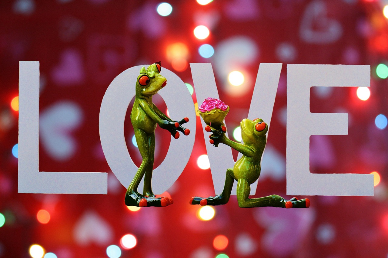 最新趣卡点,探索新时代的娱乐风尚潮流