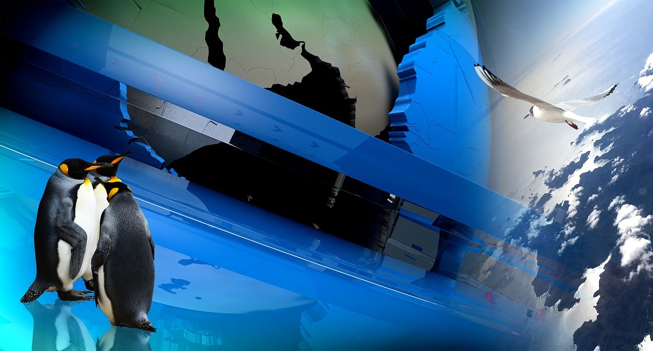 天堂网最新网,探索网络新纪元的前沿平台