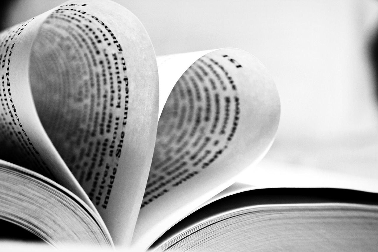 阚清子最新行程动态,忙碌中的闪耀之星揭秘