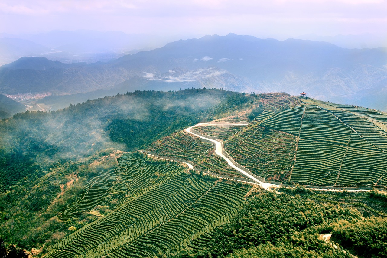 雾凇最新动态,探索自然奇观的新篇章