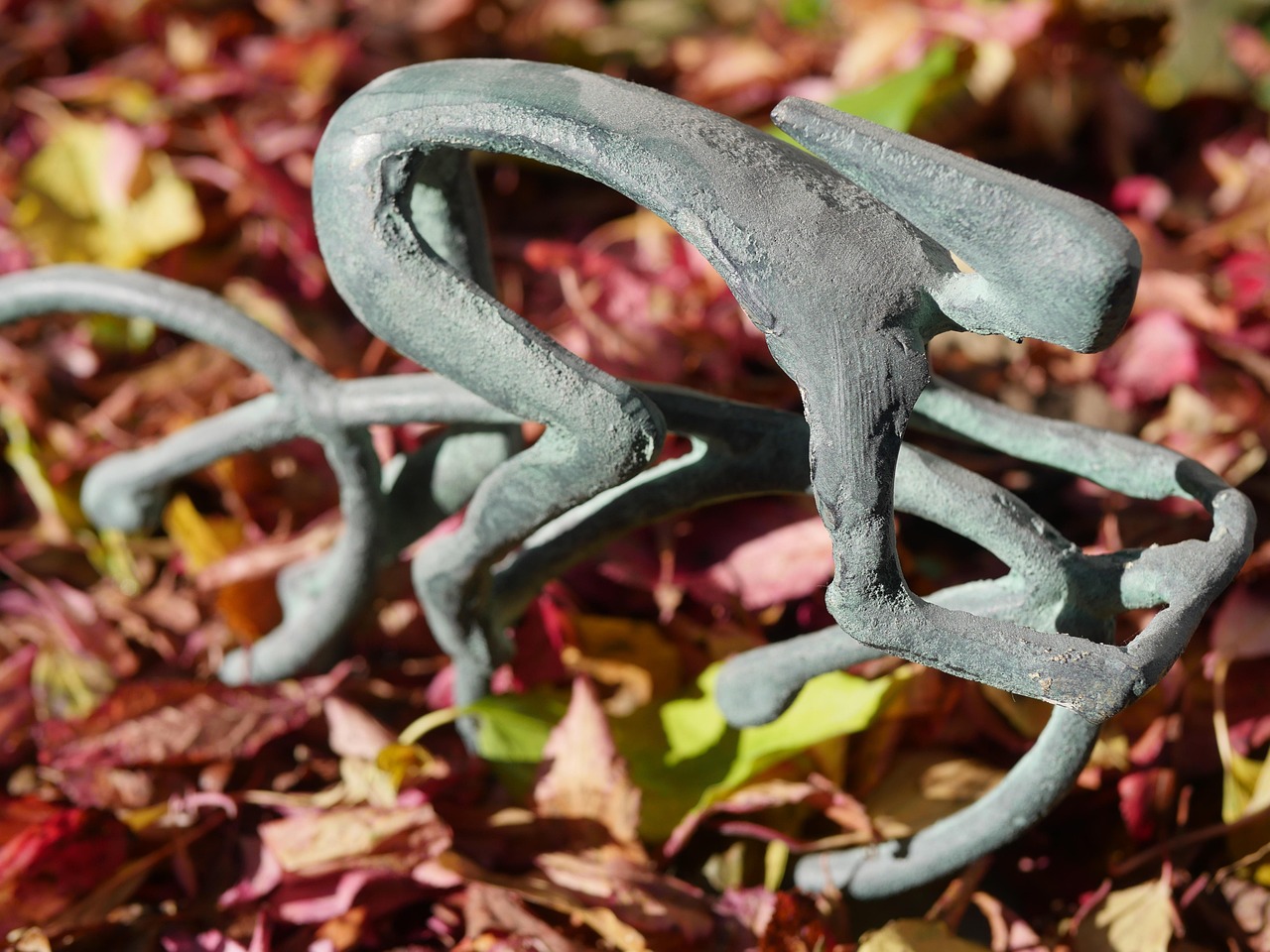 全面防控与科研进展,新型病毒全国最新动态更新