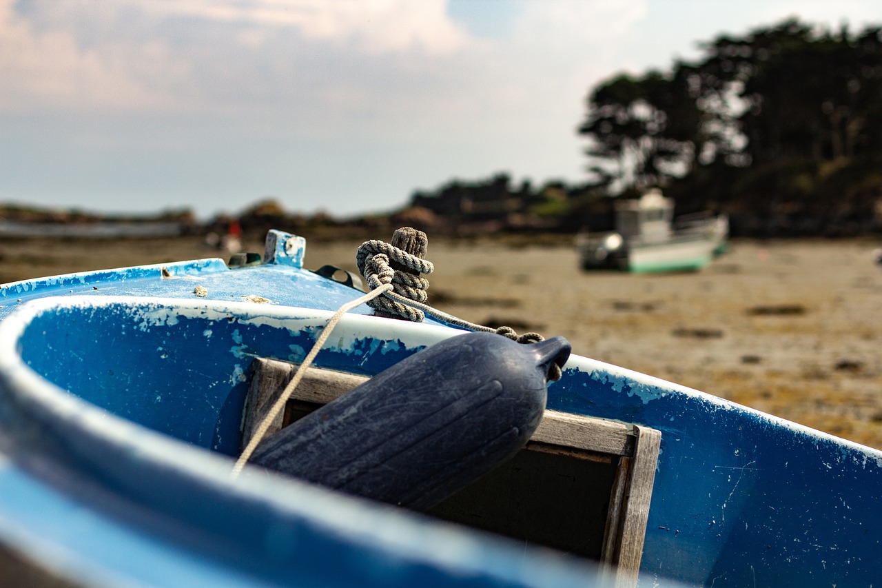 浙江最新疫情动态,全面防控与积极应对