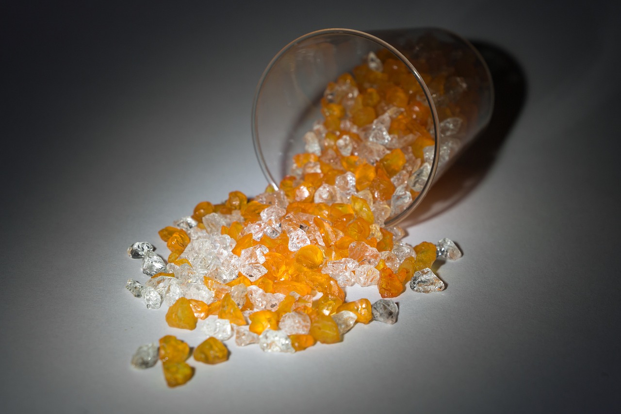 福建女排最新名单动态,新星闪耀,再度夺冠期待不已