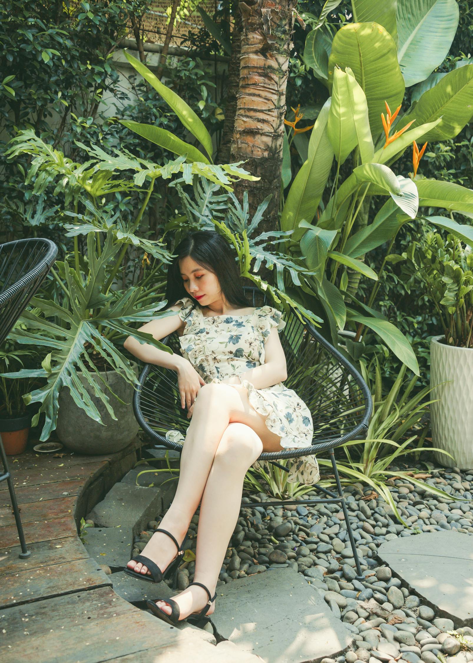 青春的秘密花园,可爱淘最新小说全解析