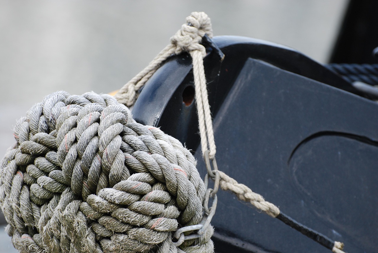 自然与科技交融之旅,探寻h水卜樱最新动态与奇妙旅程