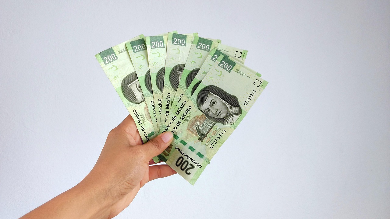 添富最新基金,引领投资新时代的先锋力量,助力投资者财富增值