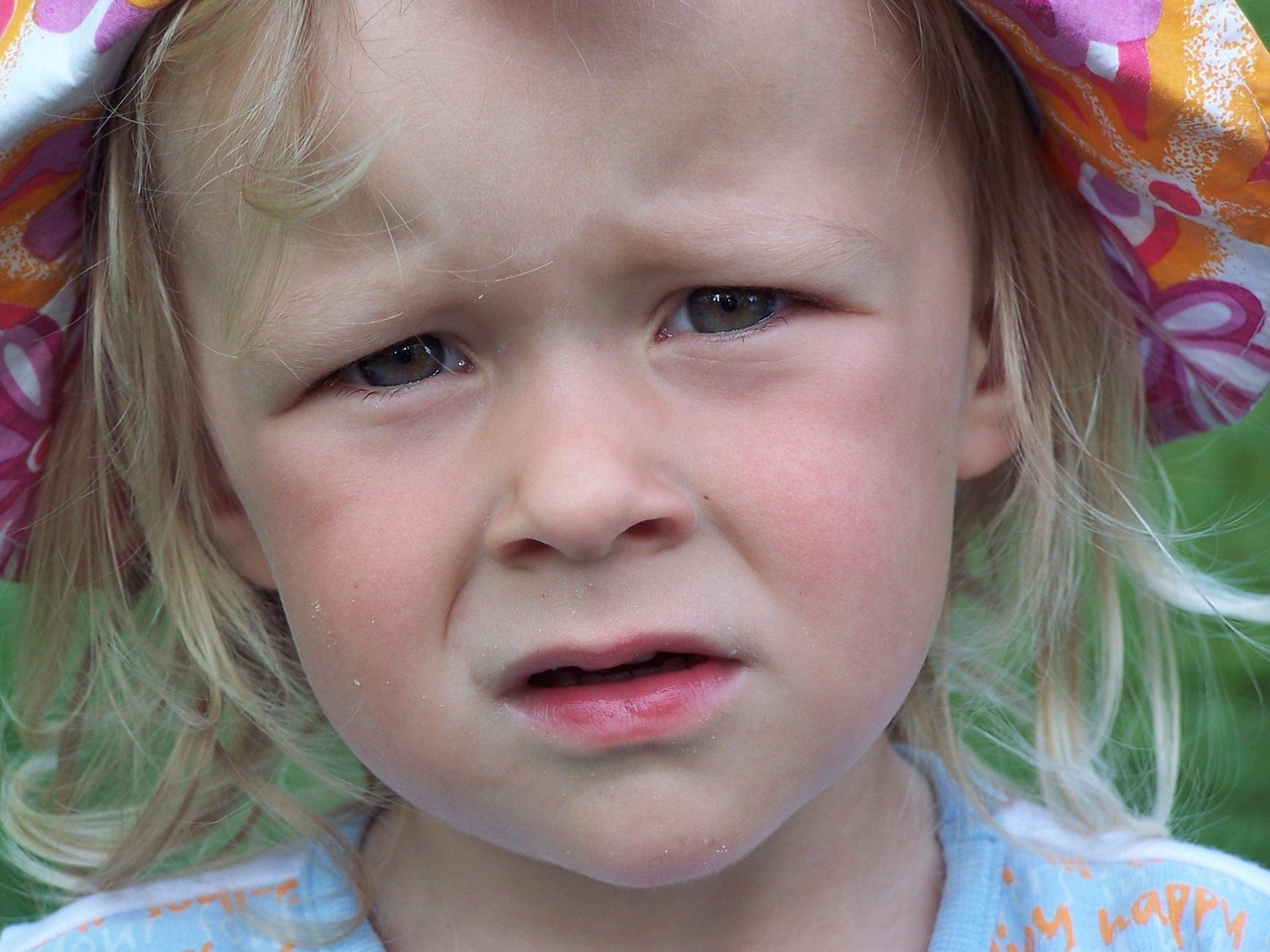 四川火情最新动态,全力应对,守护家园安全