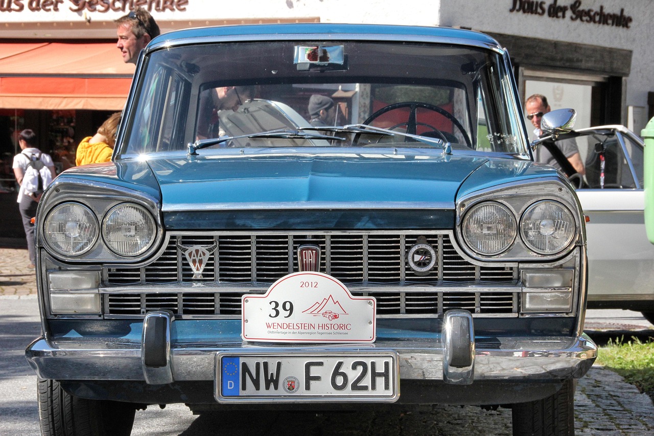 福宝爱宝最新动态与魅力展现更新速递