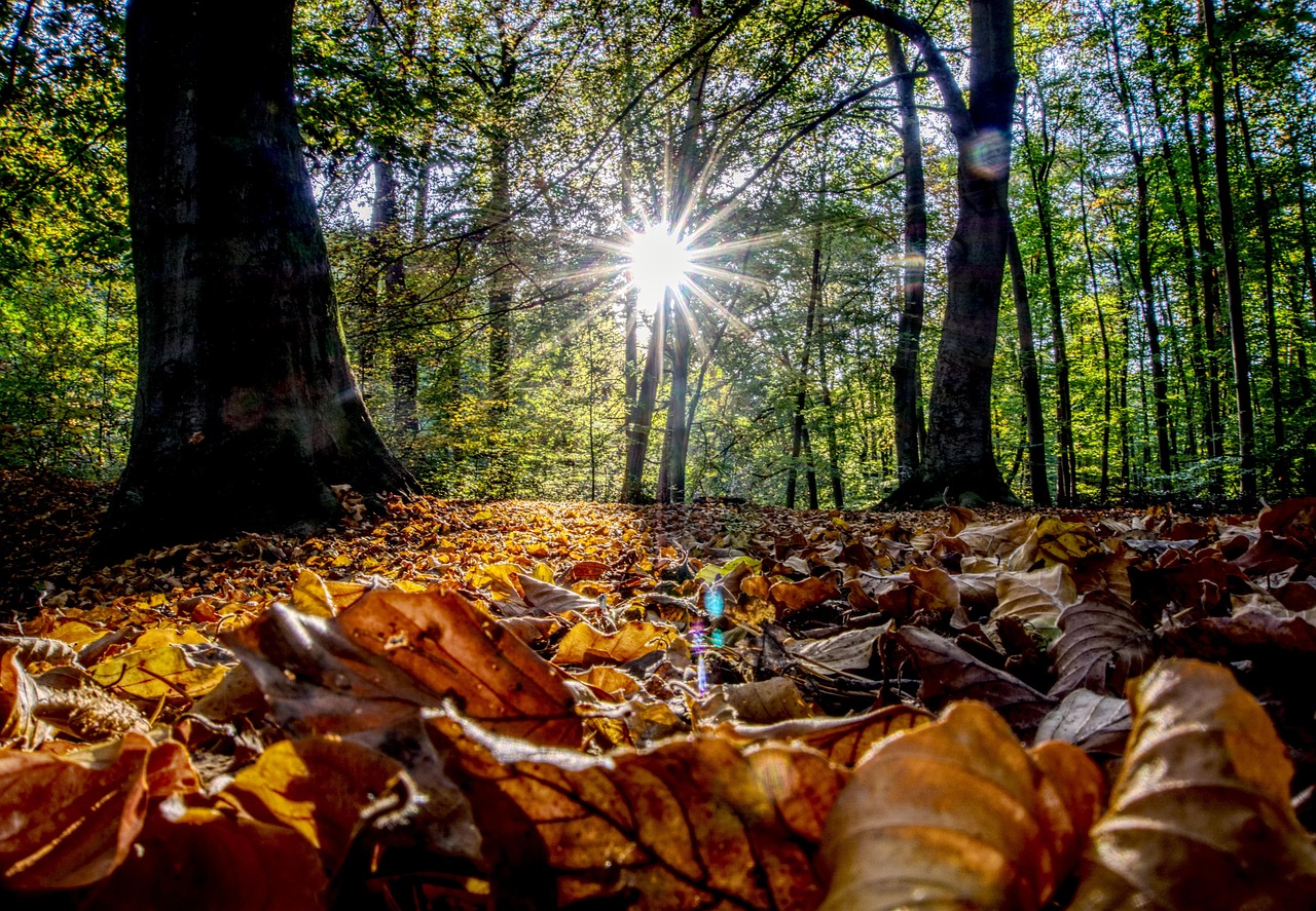 中国新疆疫情最新概况与动态更新